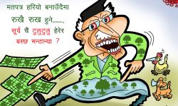 घोचपेच !