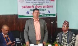 नेपाल निजामती कर्मचारी युनियनको अध्यक्षमा पुन: पोखरेलको उम्मेद्‌वारी