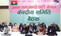 ७५३ वटा पालिकामा नै लक्षित गरेर कम्तिमा एकजना केन्द्रीय सदस्य खटाउने जसपाको योजना