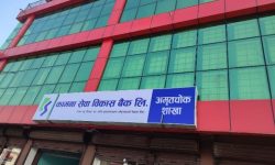 कामना सेवा विकास बैंकका थप तीन वटा शाखा चितवनमा संचालन