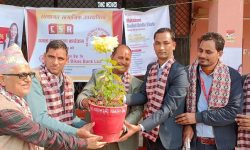 महालक्ष्मीले दियो क्याम्पसलाई गमला