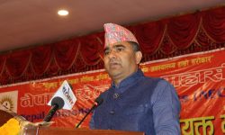 खेलकुद महासंघ मातहतका २७ राष्ट्रिय खेल संघहरुको आयोजक कमिटी घोषणा