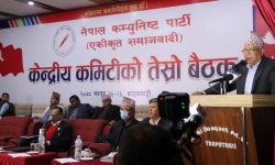 निर्वाचनमा केन्द्रित हुने नेकपा एसको निर्णय, एमसीसीबारे के भयो छलफल ?