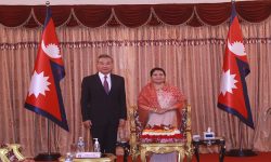 विदेशमन्त्री वाङ र राष्ट्रपति भण्डारीबीच द्विपक्षीय हितका विषयमा कुराकानी (फोटो फिचर)