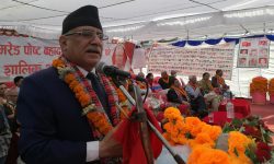 प्रचण्डले भने- डाक्टर र वैद्यले सताए