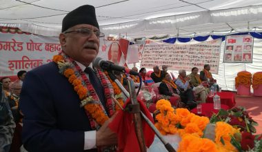 प्रचण्डले भने- डाक्टर र वैद्यले सताए