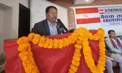 कांग्रेस एक्लै पनि चुनाव लड्न तयार छ : नेता सिंह