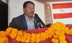 चुनावी तालमेलबारे कांग्रेसमा तीनथरी धारणा छ : प्रकाशमान सिंह