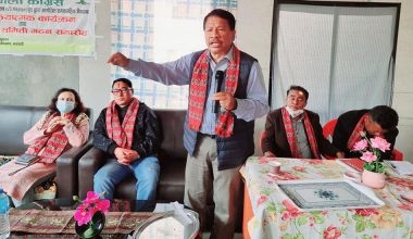 चुनावी तालमेलका बारेमा कांग्रेसमा तीनथरी धारणा छ : सिंह