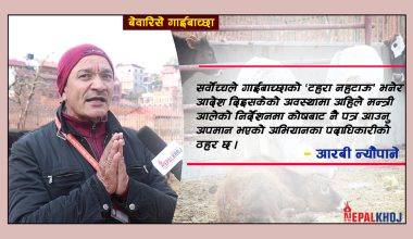 गाईबाच्छा संरक्षण गर्नेमाथि मन्त्री आलेको डन्डा !