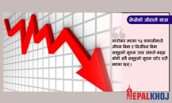 उच्च अंकले नेप्से घट्दा बिमा कम्पनीहरूमा हरियाली, बाँकी समूहको सूचक रातै