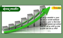 नेप्से दिनभर अवरुद्ध, अन्तिम समयमा दियो नेप्सेले जानकारी