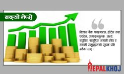नेप्से वृद्धिदर कायमै, १२ अंकले बढ्दा दुई अर्ब ५१ करोडको कारोबार