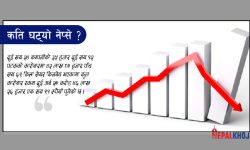 नेप्सेमा दोहोरो अंकले गिरावट, लगानीबाहेक सबै समूहको सूचक रातै