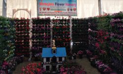 पुष्प मेलाको तेस्रो दिनमा लक्ष्यभन्दा बढी कारोबार (फोटो फिचर)