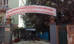 युवा तथा साना व्यवसायी स्वरोजगार कोषको १३ बर्षमा सावा ११ अर्ब लगानी