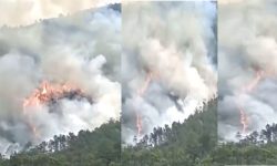 डढेलोले वन सखाप, स्वास्थ्य खराब