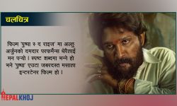 अल्लु अर्जुनका ५ सुपर हिट फिल्म !