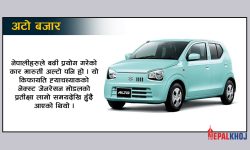 अल्टोको नेक्स्ट जेनरेसन मोडल