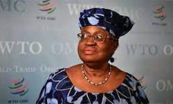 गरिब मुलुकमा खाद्यवस्तुको मूल्य वृद्धि हुने : डब्ल्यूटीओ