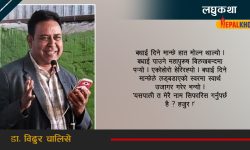 प्रचार शैली