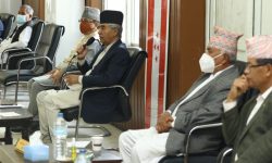 कांग्रेसको कार्यसम्पादन समिति बैठक बस्दै, विराटनगर र ललितपुरको उम्मेदवार टुंगो लाग्दै