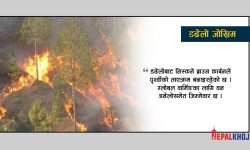 डढेलोले निम्त्याउँदै छ विनाश