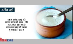 शीतलको पर्याय दही