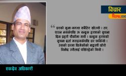 बन्दुक हराएको सूचना (युद्ध र प्रेम)