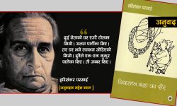 कुकुरको लडाइँ