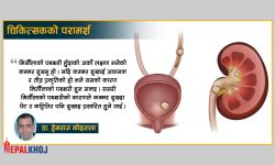 मिर्गौलाको पत्थरीका सुरुवाती लक्षणहरु !