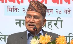 ललितपुरको मेयरमा कांग्रेसका चिरिबाबु एमालेका हरिकृष्णभन्दा ९ हजार १६२ मतले अगाडि