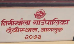 निसीखोला आलु-मकै पकेट क्षेत्र घोषणा