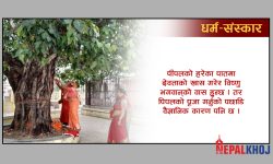 किन गरिन्छ पिपलको पूजा ?