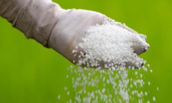 चीनबाट २३२ मेट्रिक टन रासायनिक मल भित्रियो