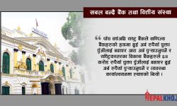 चुक्ता पुँजी ४ खर्ब ८ अर्ब २६ करोड रुपैयाँ नाघ्यो