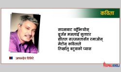 मेटोस् कविताले तिर्खालु बटुवाको प्यास