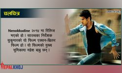 साउथका हेर्न नछुटाउने ५ थ्रिलर फिल्म