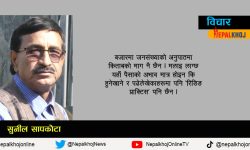 लेखन जीविका