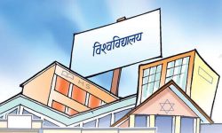 लुम्बिनी प्रदेश विश्वविद्यालय  स्थापना गरिने स्थान सम्बन्धी विवाद चुँलिदै