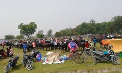 पशु हाटबजारमा व्यापारीको आकर्षण बढ्दो