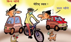 घोचपेच !