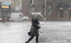 अझै केही दिन वर्षा