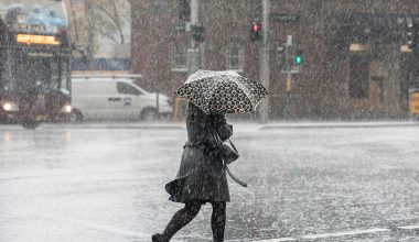 अझै केही दिन वर्षा