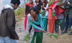 सुदूरपश्चिममा आज बिसु पर्व मनाइँदै