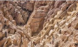 एउटा अफ्रिकी देश जहाँ ‍बिटकोइन बन्याे औपचारिक मुद्रा