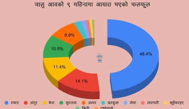 खेतबारी बाँझै, ११ अर्बको फलफूल आयात