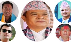 गठबन्धनले खोस्यो महिलाको अधिकार- झापाका १५ पालिकामध्ये १२ मा पुरुष नै उपप्रमुख