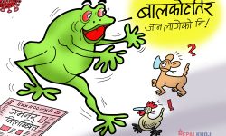 घोचपेच !