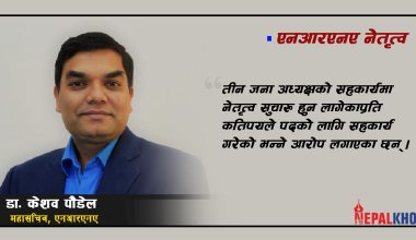 एनआरएनमा तीन अध्यक्ष हुनु गैरआवासीय नेपालीहरु एकजुटको संकेत